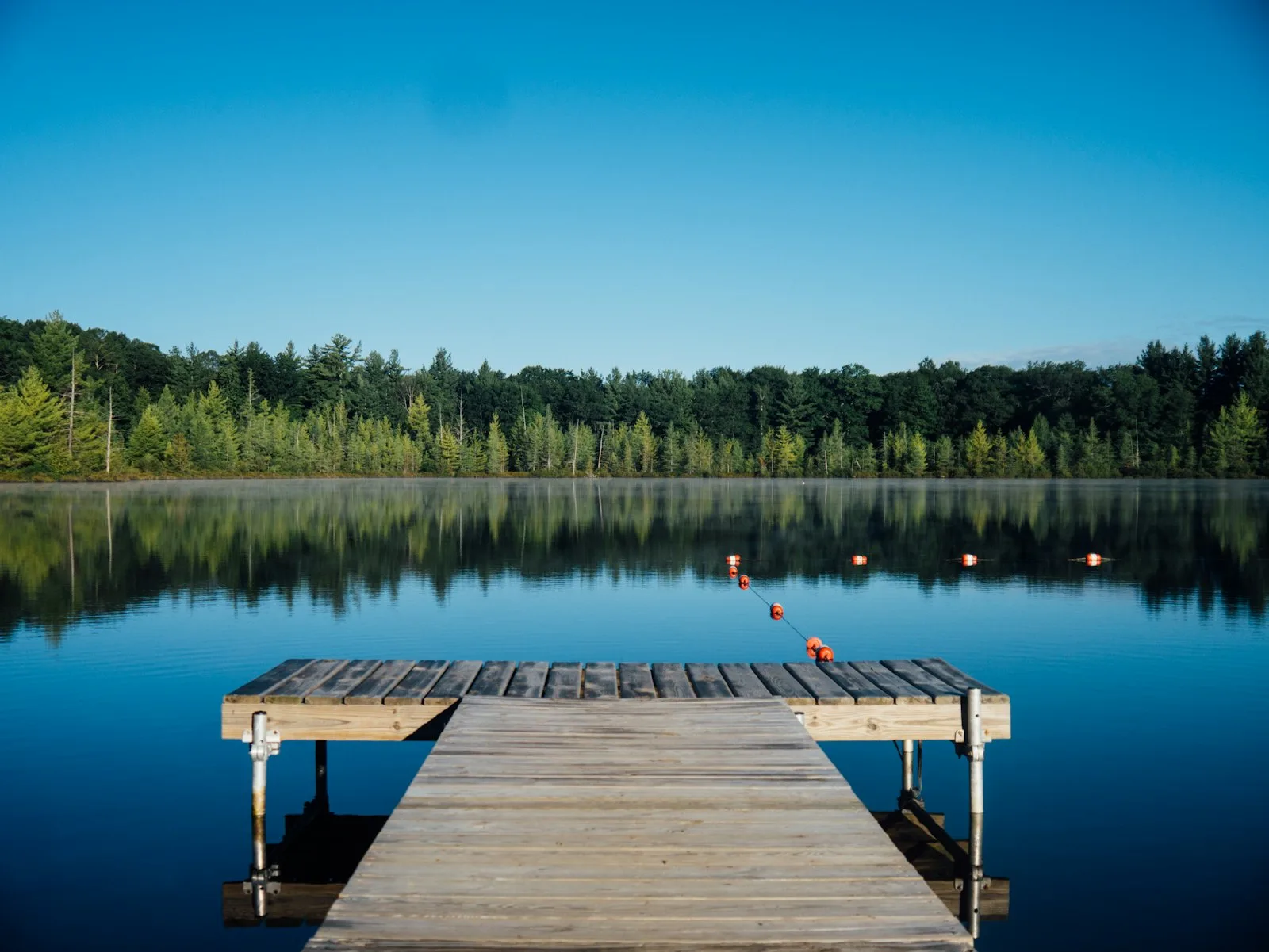 Wooden dock reaching into calm water lined with evergreen forest