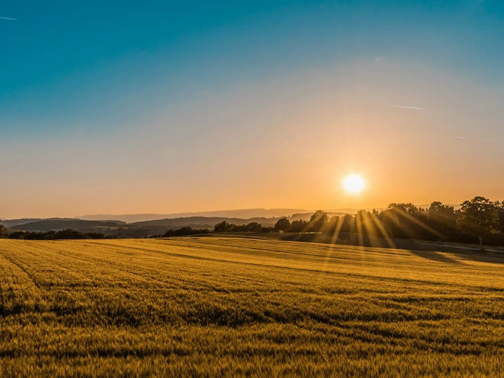 Sunrise over open farmland