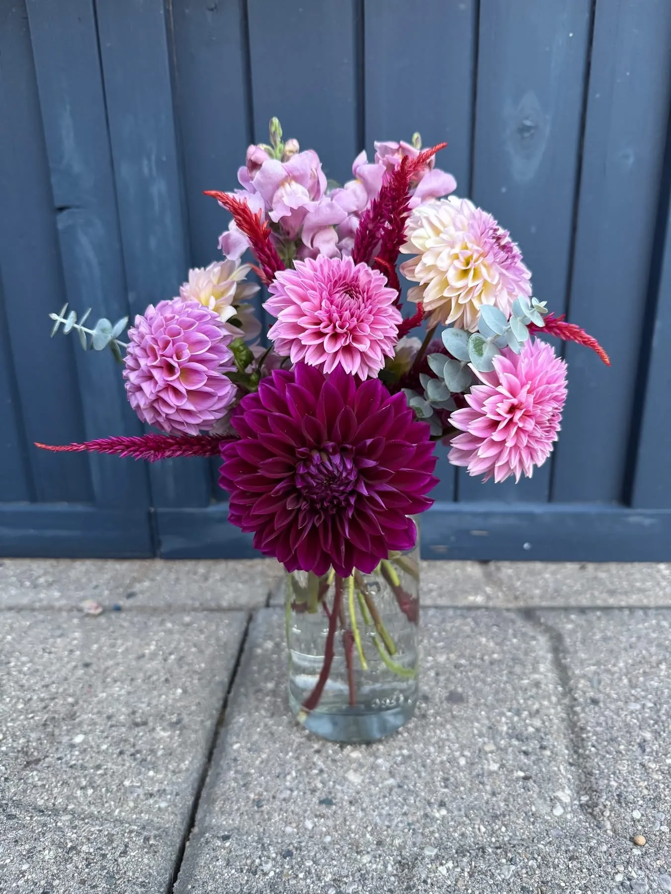 A canning jar of pink and burgundy dahlias against a blue barn door
