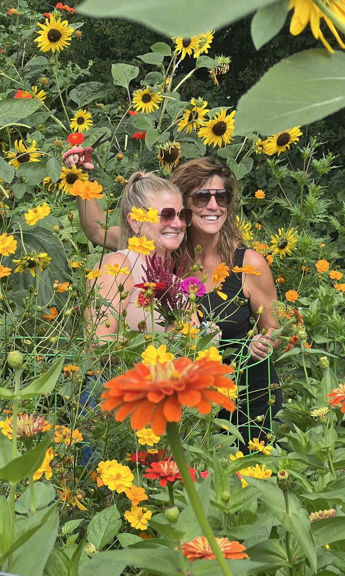 Cutting flowers together among the sunflowers, zinnias and cosmos