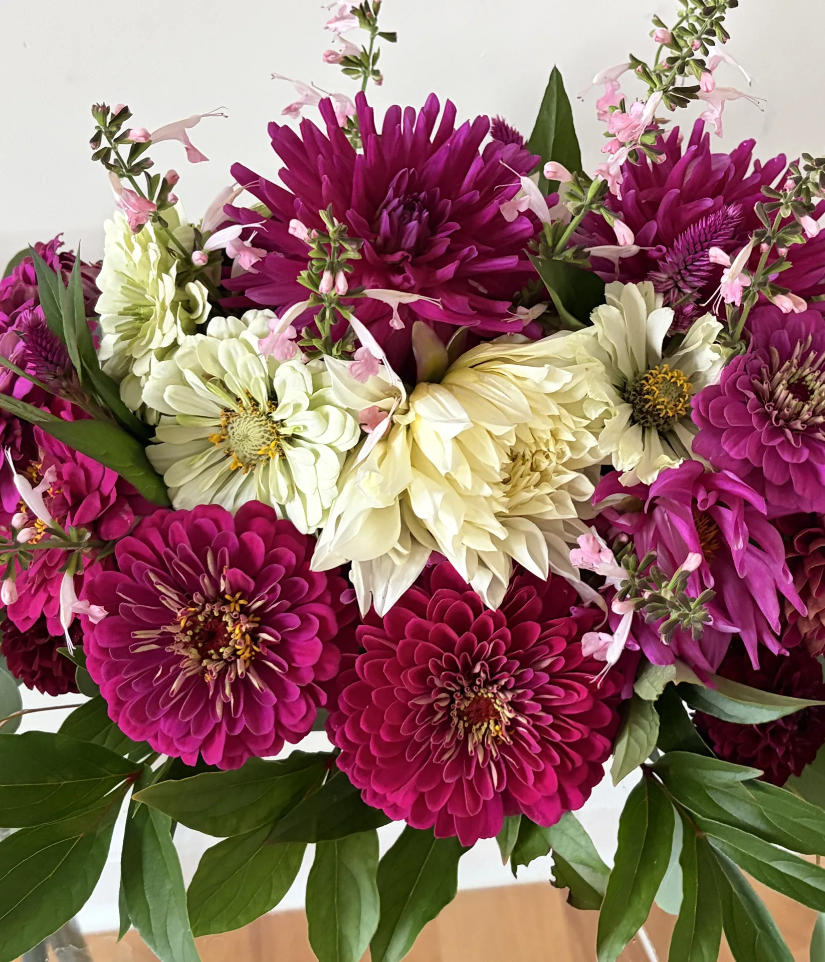 An armful of magenta and cream dahlias and zinnias cut from the field