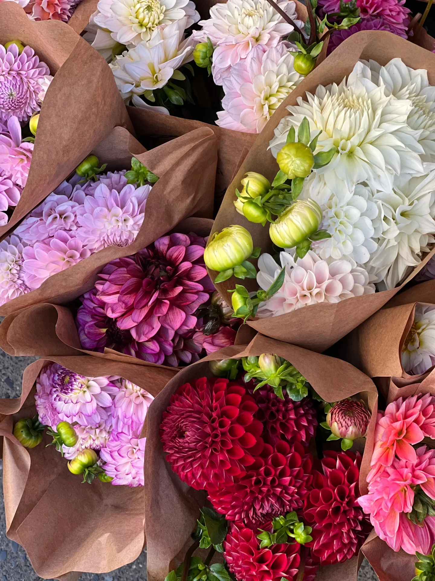 Dahlia bouquets wrapped in kraft paper, ready to carry home