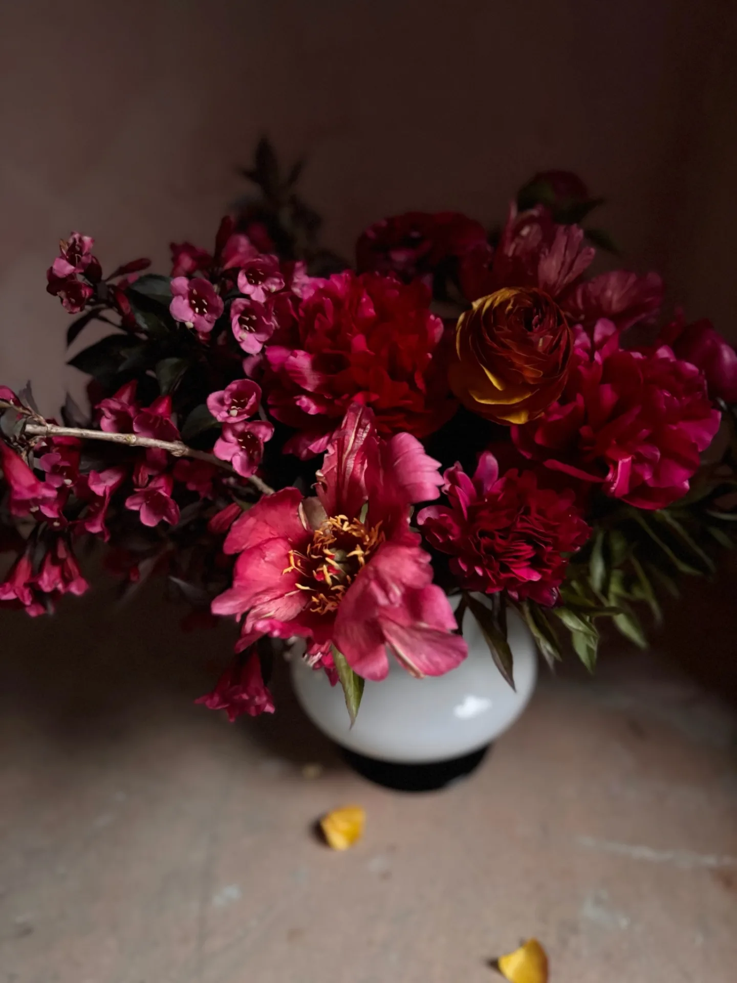 A round white vase filled with deep red peonies, burgundy ranunculus and pink garden roses