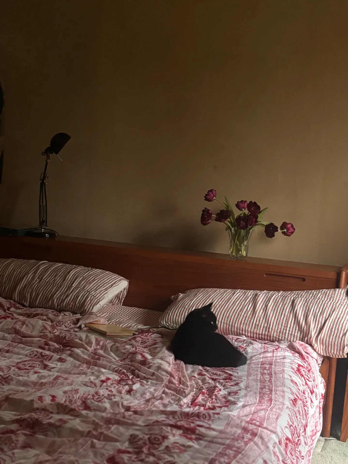 A bedroom with a wooden headboard, red and white striped pillows, a toile-print quilt, a dark tulip arrangement in a glass vase on the headboard shelf, and a black cat lying on the bed