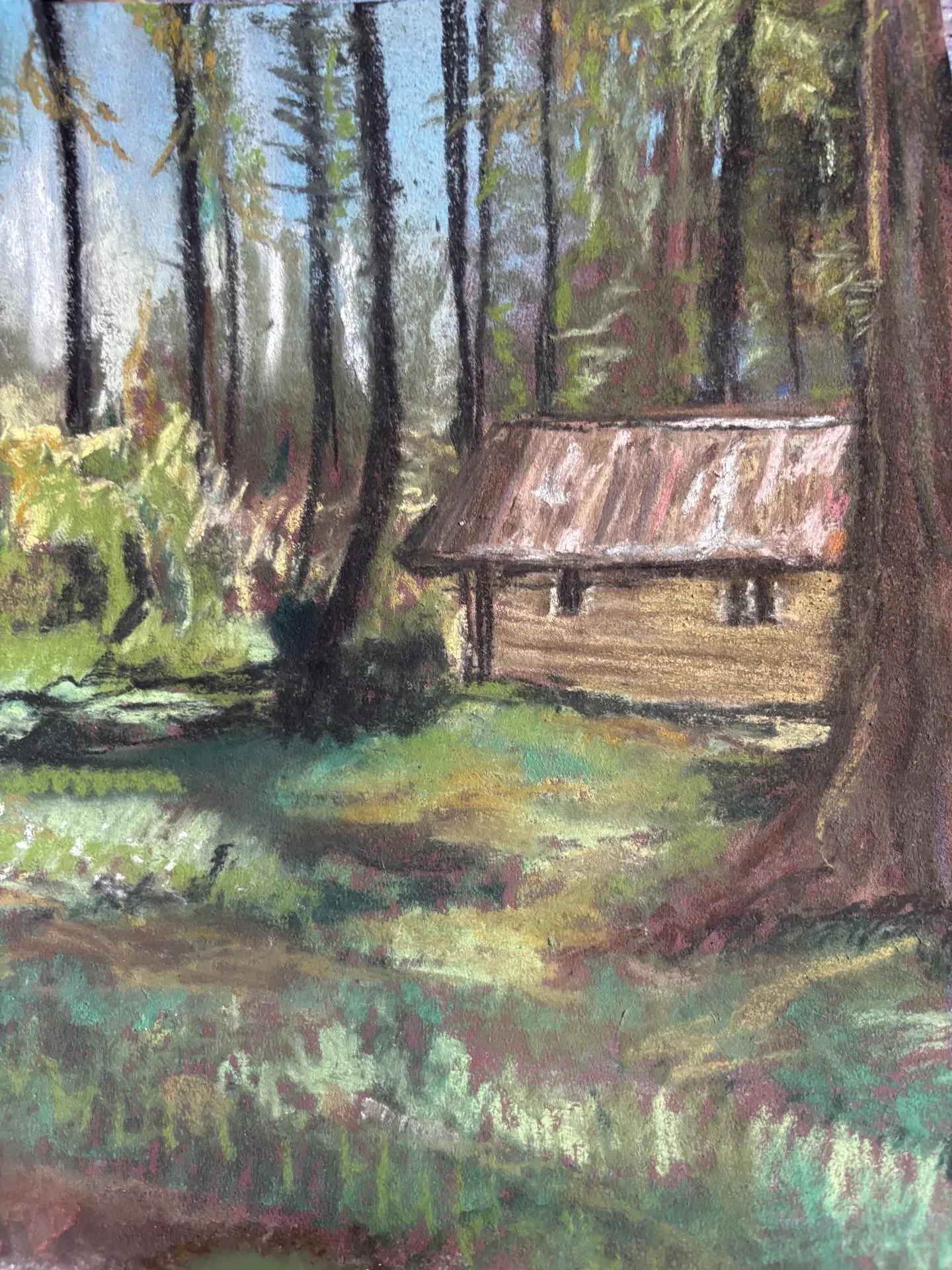 Pastel of a small cabin with a tin roof standing among tall firs, sunlight breaking through the trunks