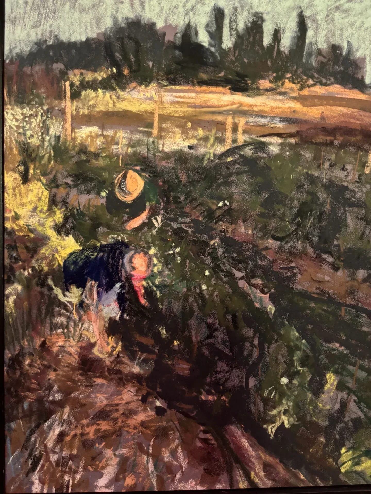 Pastel of two small figures among dark firs and a sunlit trunk, worked in deep greens and madrona red