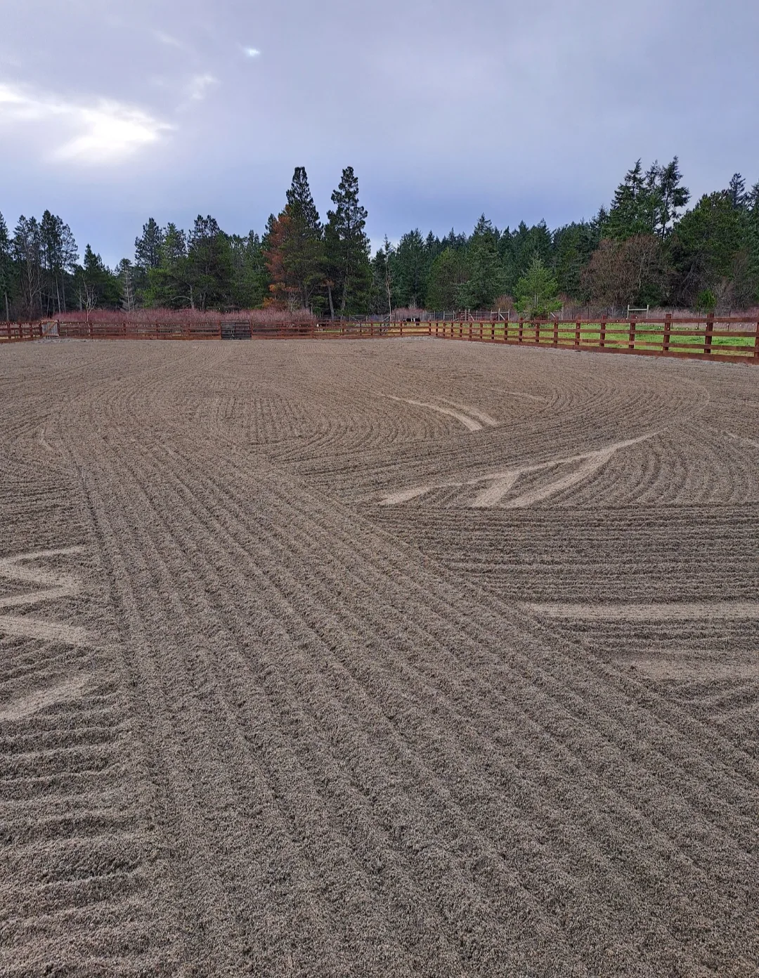 Freshly groomed outdoor riding arena