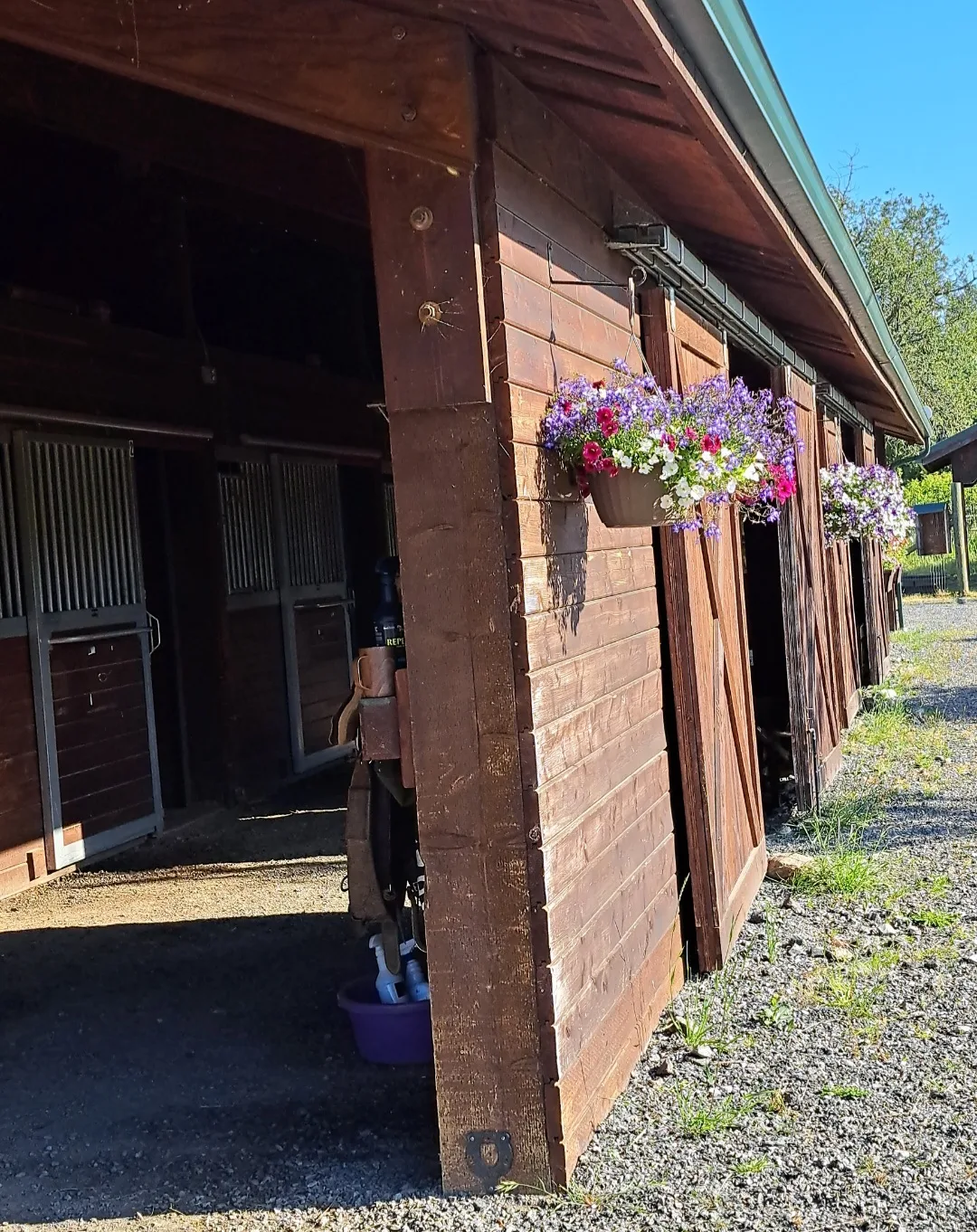 Barn grounds