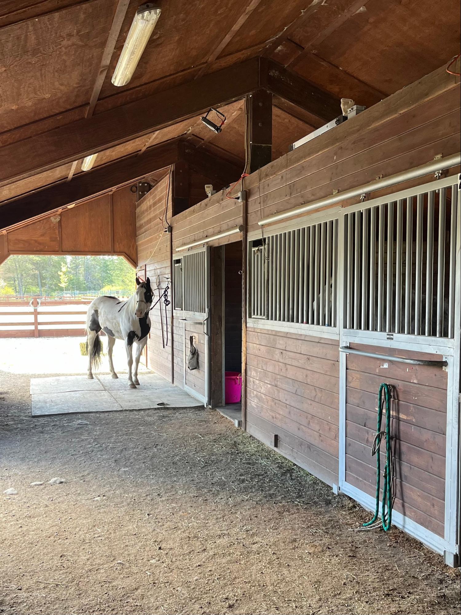 Horse stable