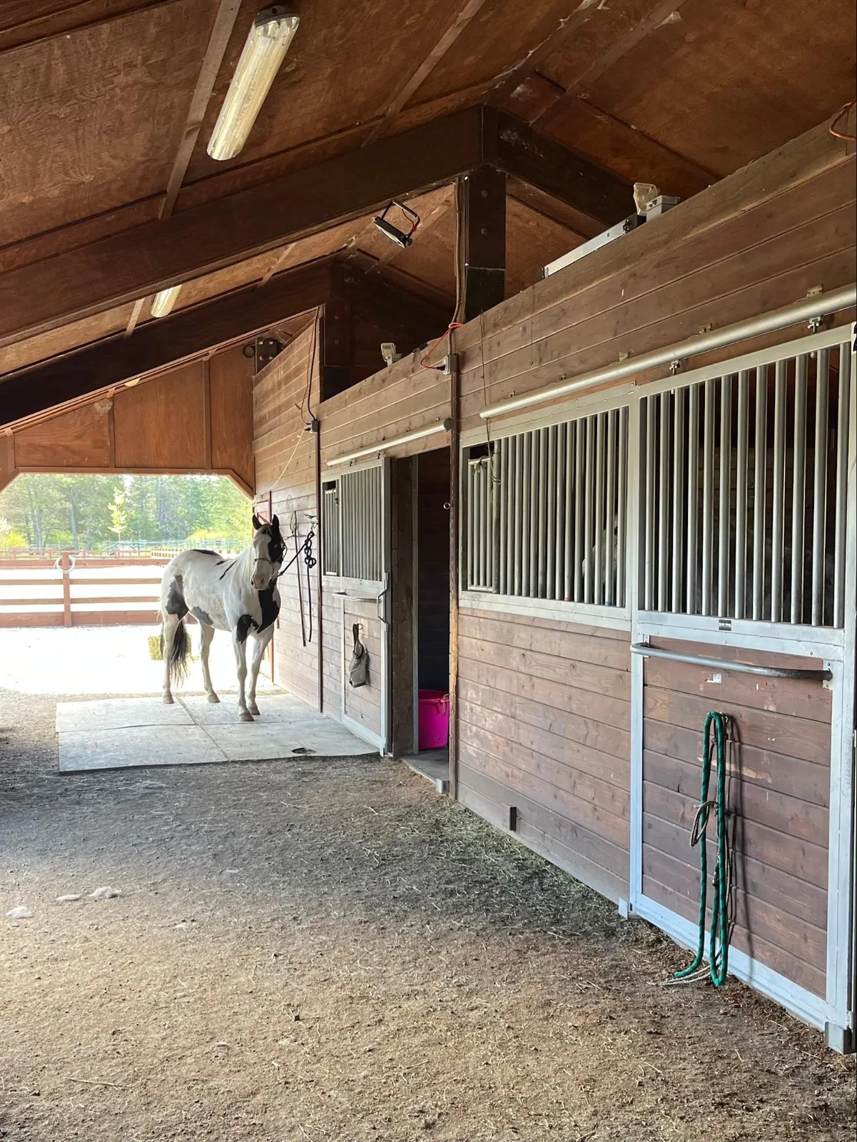 Horse stable