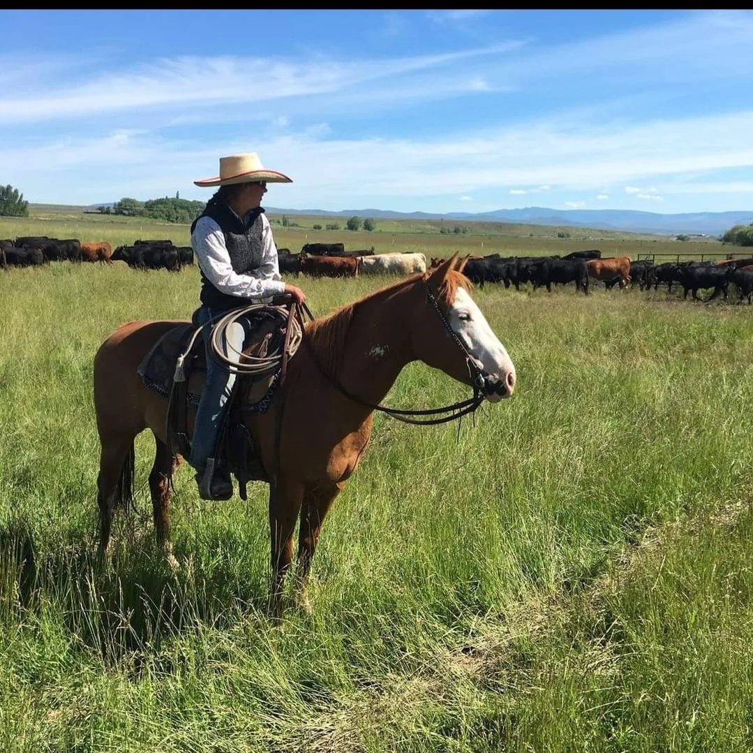 Rider moving cattle across open pasture