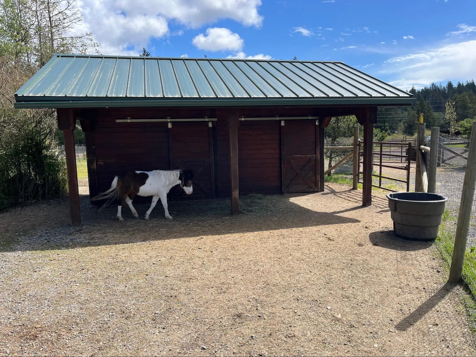 Run-in shelter beside the paddock