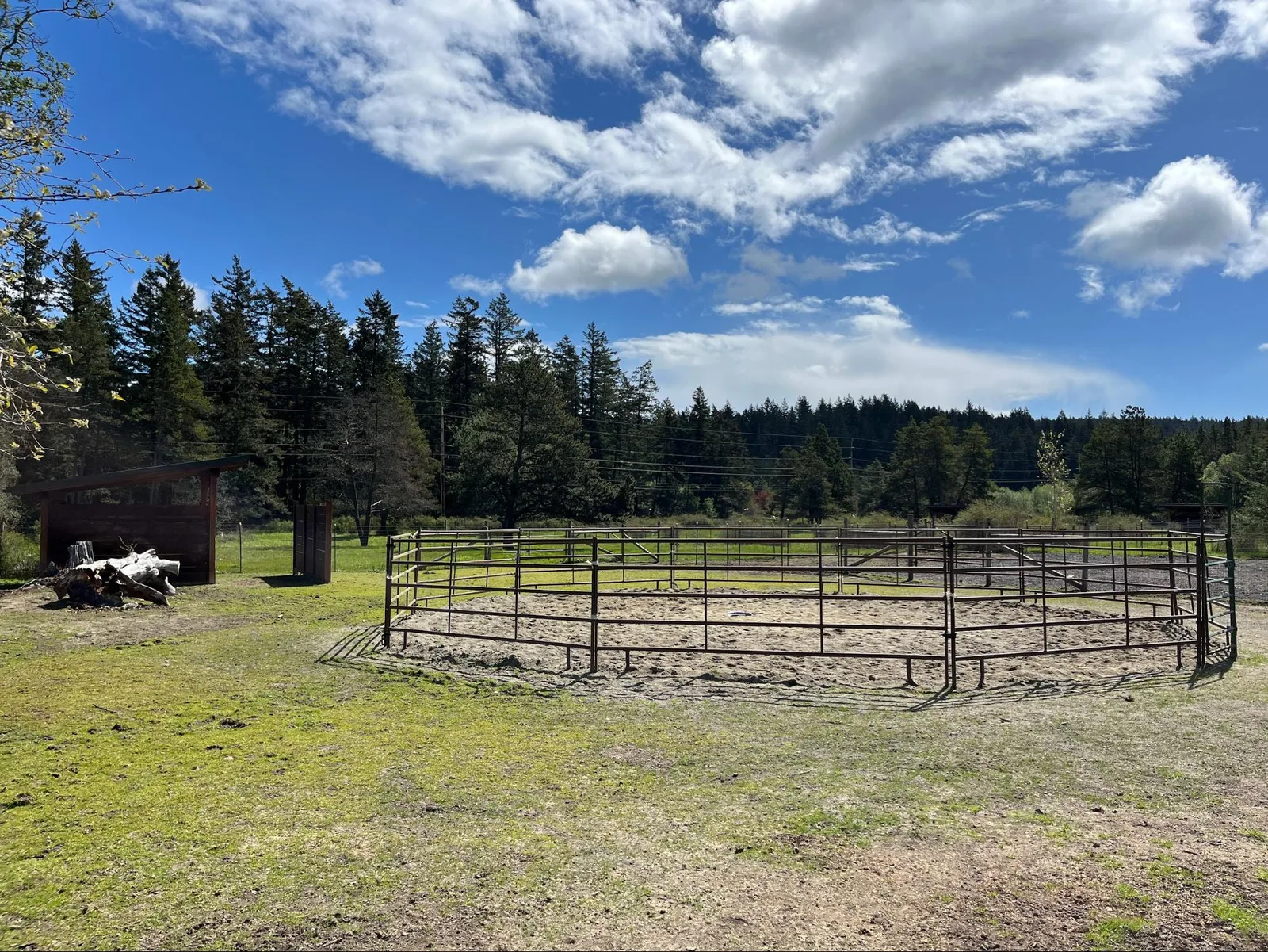 Round pen in the pasture
