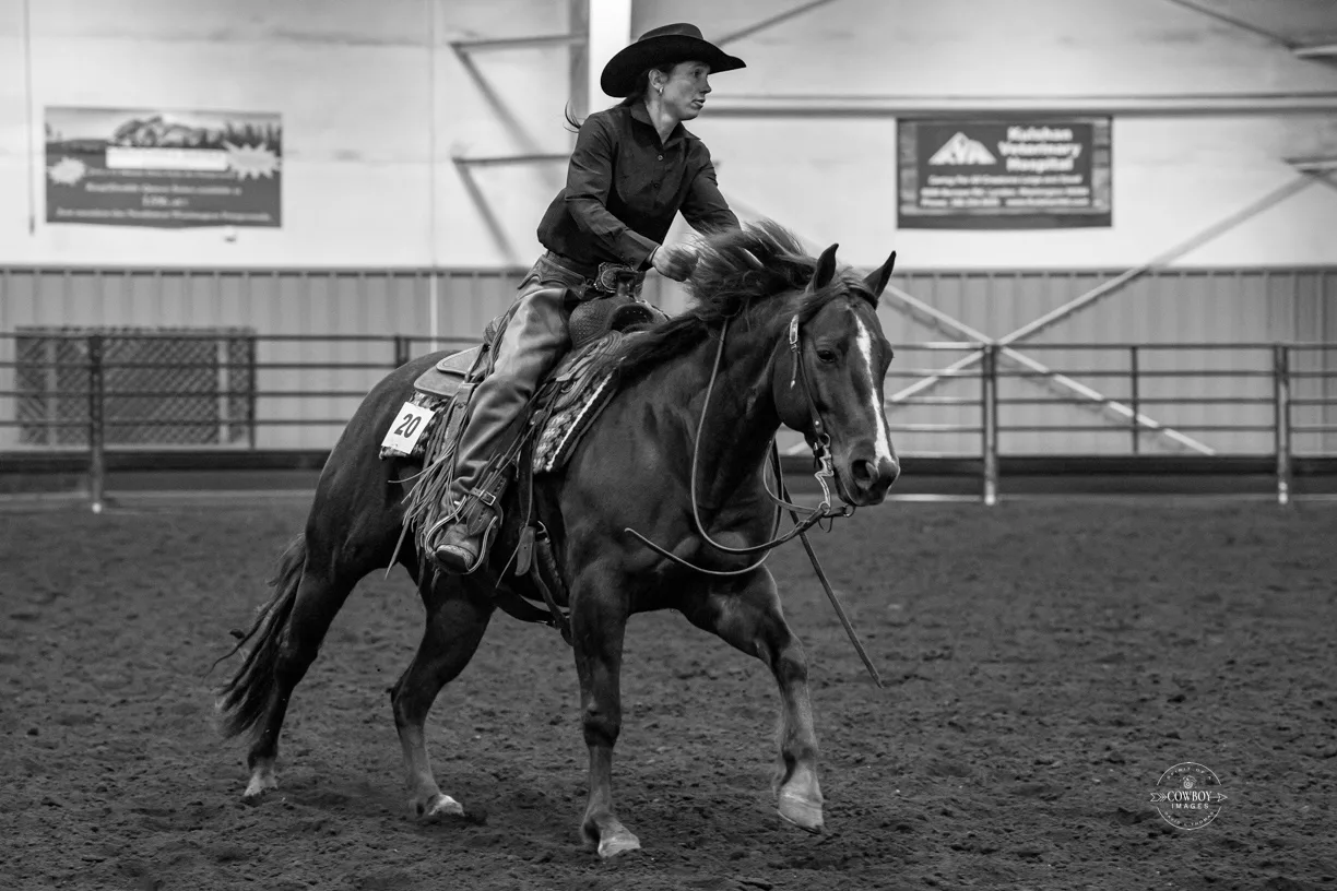 Horse show