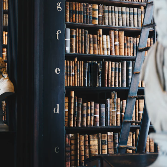 Shelves of leather-bound volumes in a law library