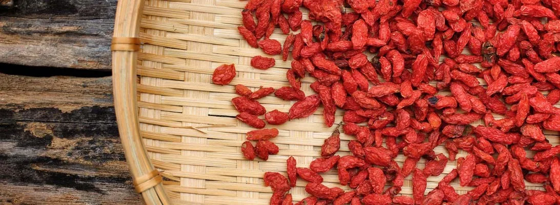Ruby-red goji berries