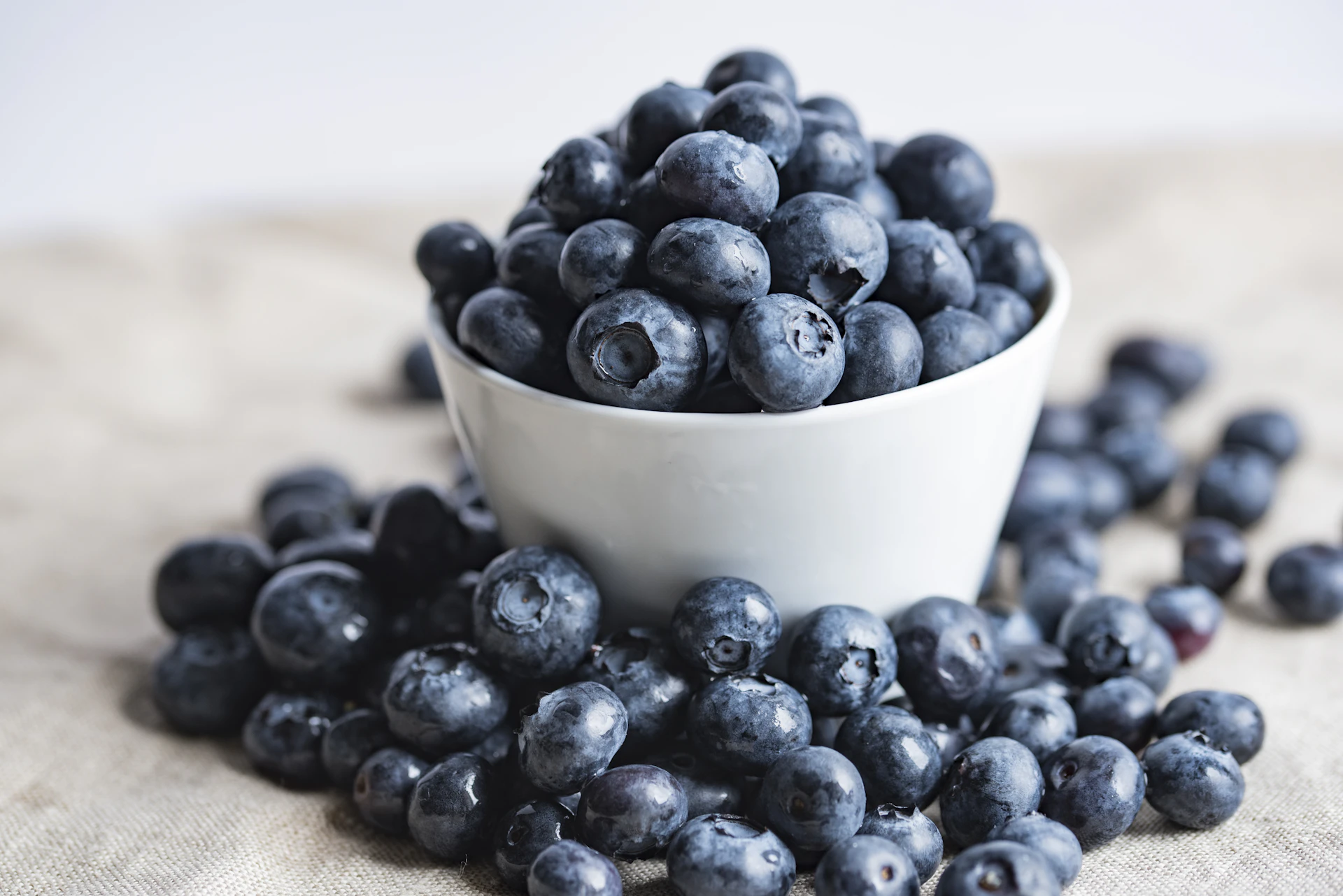 Ripe blueberries on the bush