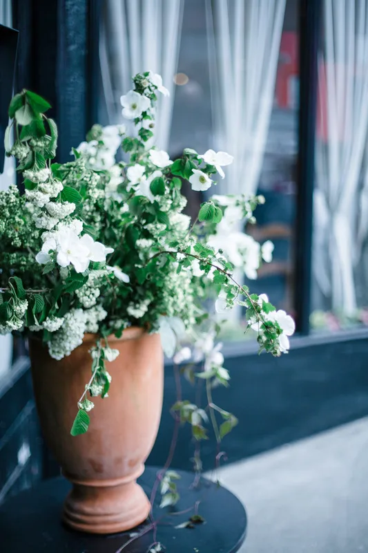 Terracotta urn overflowing with white dogwood blossoms, spirea and trailing greenery