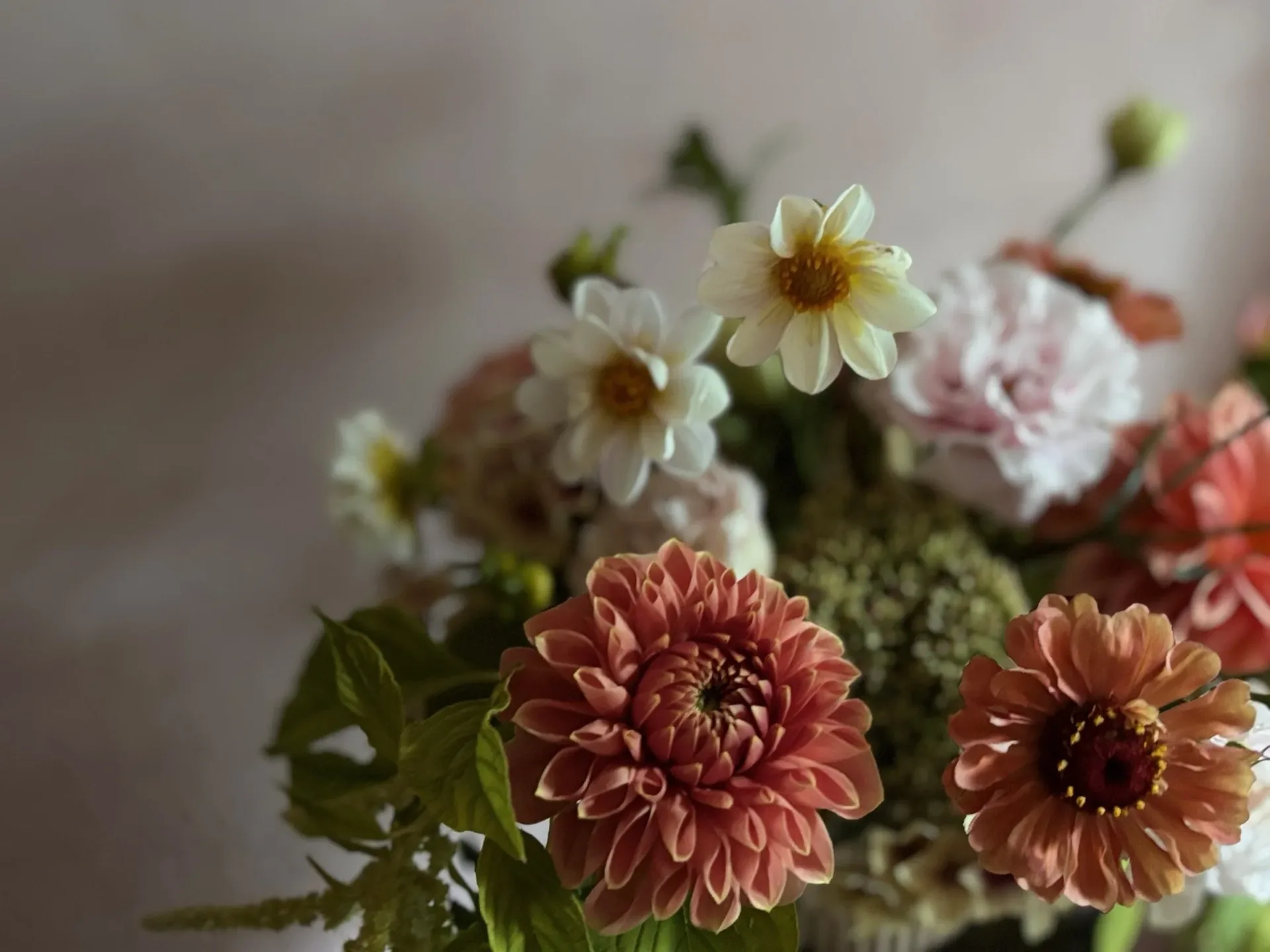 A compote arrangement of peach and burgundy dahlias from a past workshop