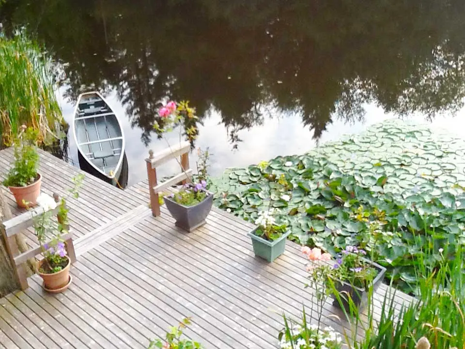Deck with potted flowers over the pond, a canoe moored beside the water lilies