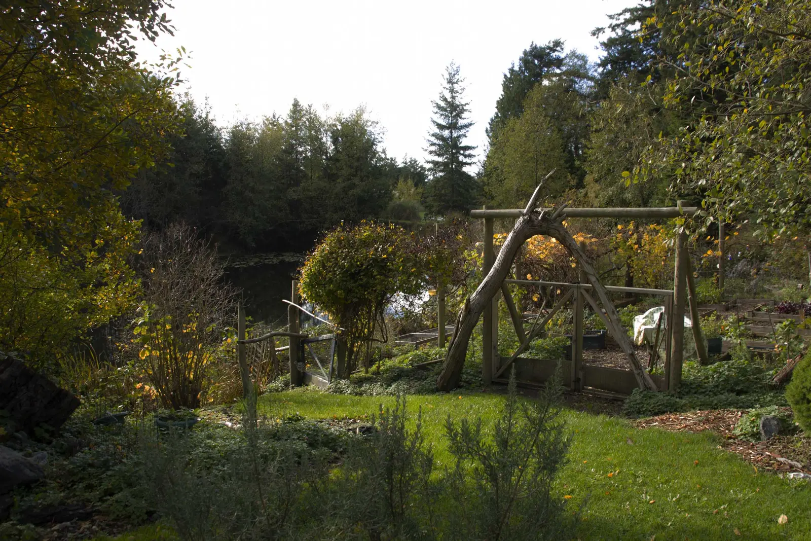 The inn's kitchen garden with a driftwood arch, the pond beyond