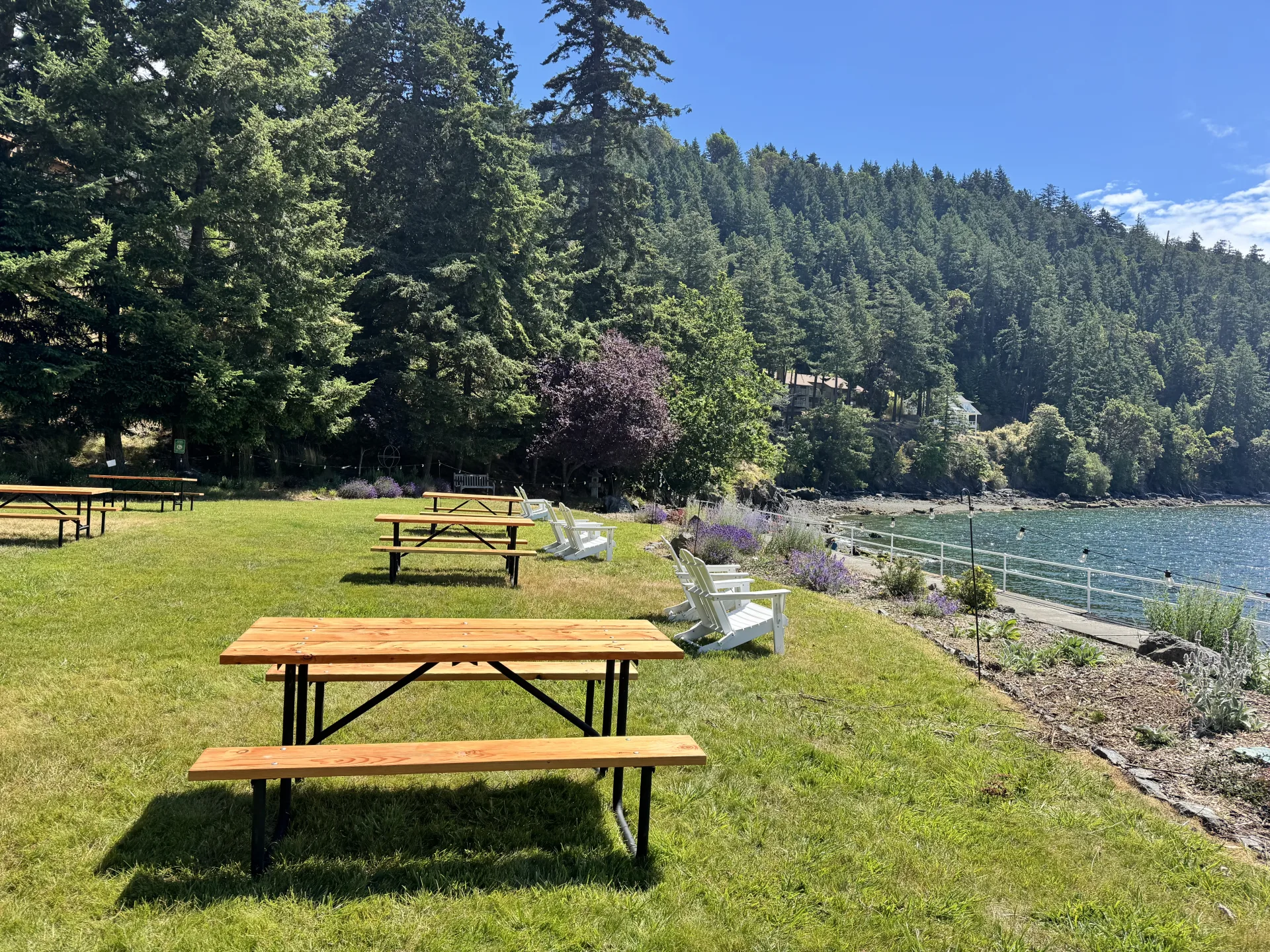 Picnic tables set out on the lawn beside the water at Rosario Harbor