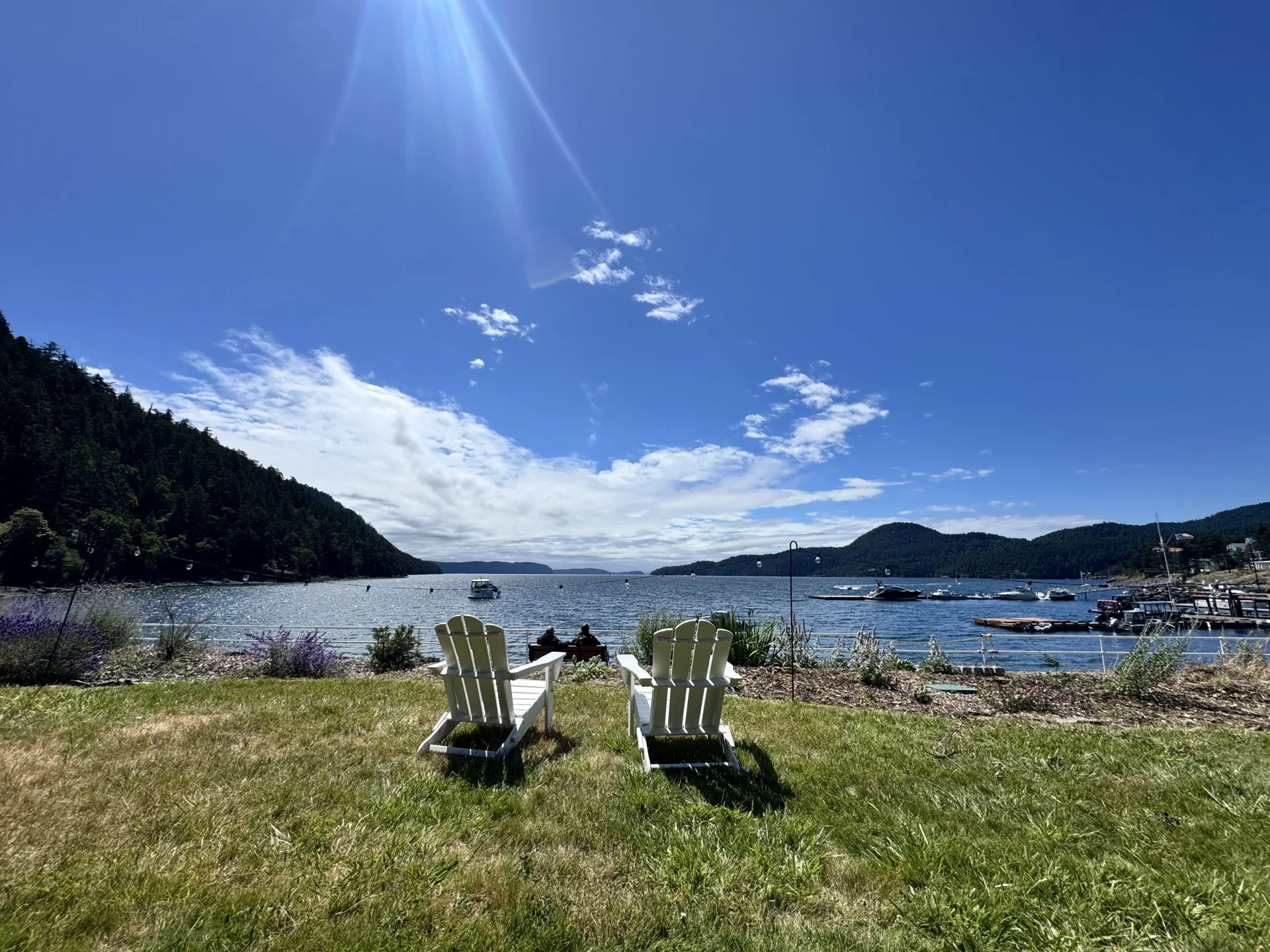 Adirondack chairs on the lawn overlooking Cascade Bay and the harbor