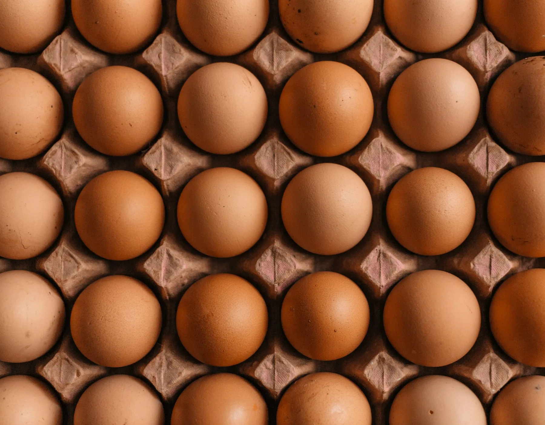A tray of fresh brown eggs